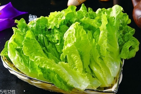 清炒生菜为什么会苦,蚝油生菜为什么会苦