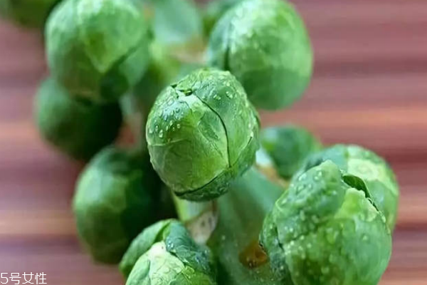 手撕包菜为什么要手撕,包菜为什么要手撕更好吃 手撕包菜为什么要手撕,包菜为什么要手撕更好吃