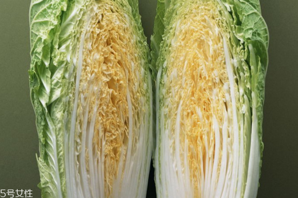 买白菜什么样的好,白菜怎么挑选