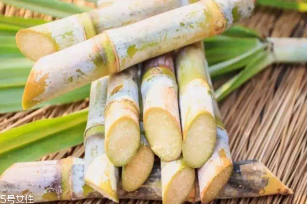 甘蔗多久施一次肥,甘蔗多长时间追一次肥