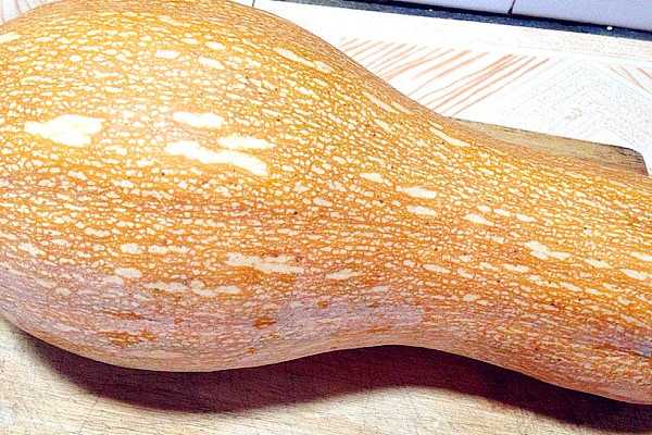 半老不老的南瓜怎么吃,老南瓜长什么样子