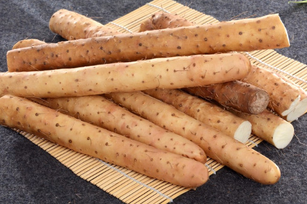 麻山药长芽还能吃吗?,山药发芽长藤还能吃吗 麻山药长芽还能吃吗?,山药发芽长藤还能吃吗