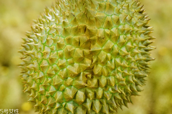 榴莲是一年四季都有吗?,榴莲是四季都有的吗