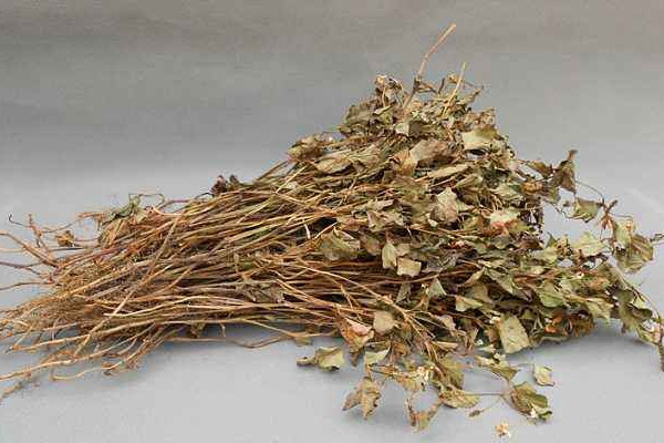 折耳根可以泡脚吗,折耳根水可以泡脚吗