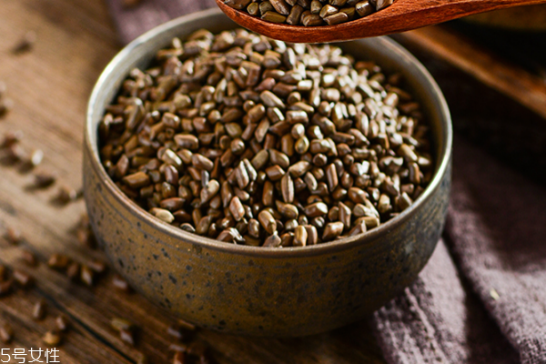 决明子配什么减肥最好效果,决明子能减肥吗