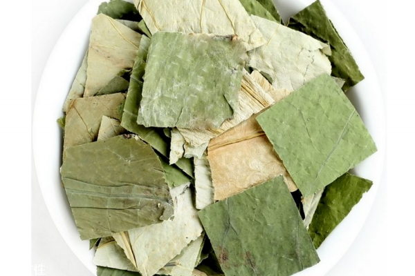 荷叶茶可以去湿气吗,荷叶去湿气吗