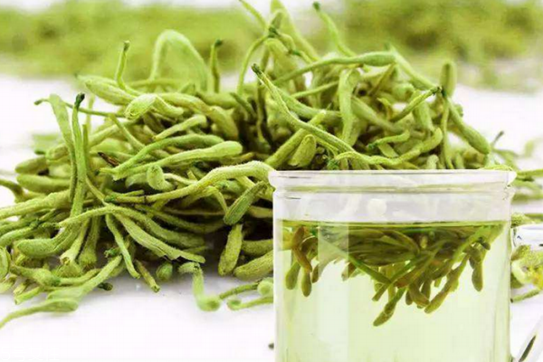 金银花茶能消炎吗,金银花有消炎作用吗