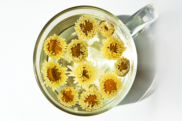 菊花茶能不能过夜喝,菊花泡茶过夜可以喝吗 菊花茶能不能过夜喝,菊花泡茶过夜可以喝吗