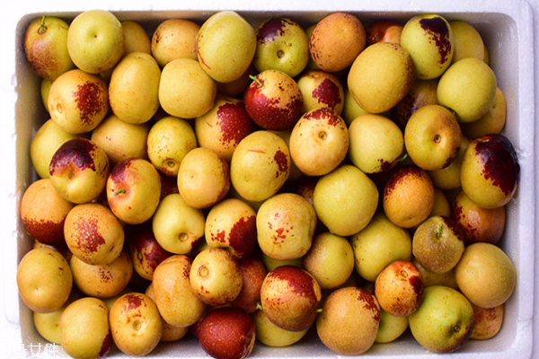 冬枣可以和李子一起吃吗?,李子和枣子能一起吃吗?