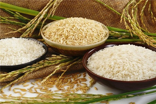 炒米茶的功效和作用,陈皮炒米茶的功效和作用