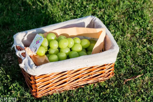 葡萄籽多少钱一斤,葡萄籽哪里有卖