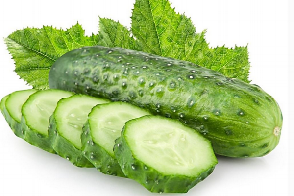 黄瓜是什么样子,黄瓜为什么叫黄瓜而不是绿瓜 黄瓜是什么样子,黄瓜为什么叫黄瓜而不是绿瓜