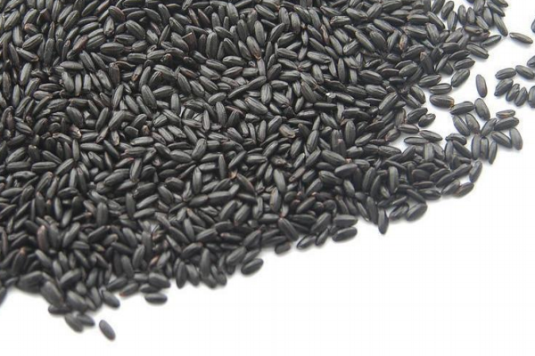 黑米是染色的吗,染色的黑米是什么样的