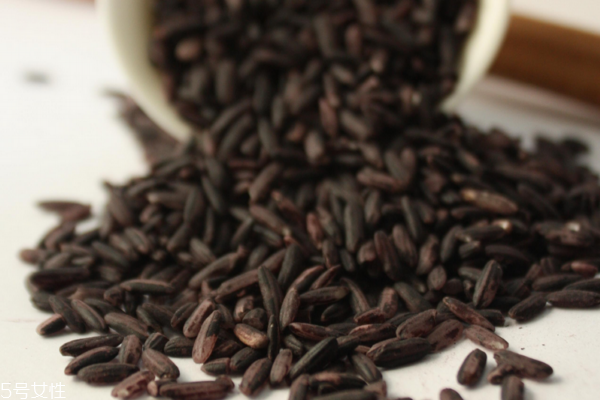 黑米是热性还是凉性食物,黑米是热性还是凉性讲座视频