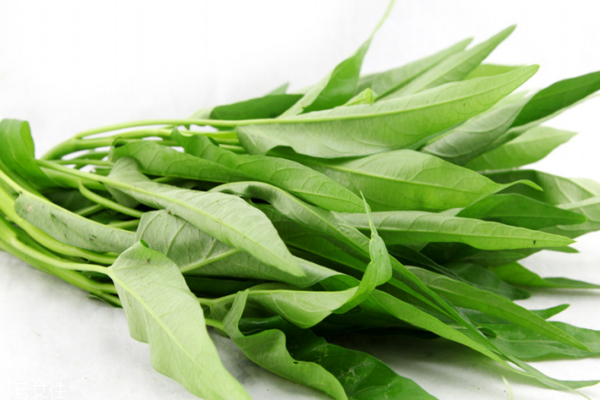 空心菜为什么是空心的呢,空心菜为什么是空心的 奇妙的空心菜