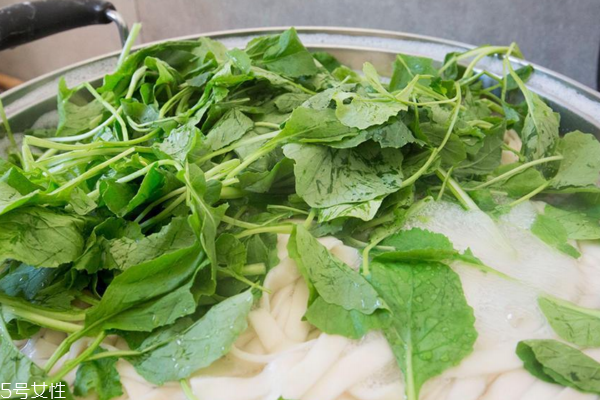 小白菜是发物吗?,小白菜是发物吗 皮肤病 小白菜是发物吗?,小白菜是发物吗 皮肤病