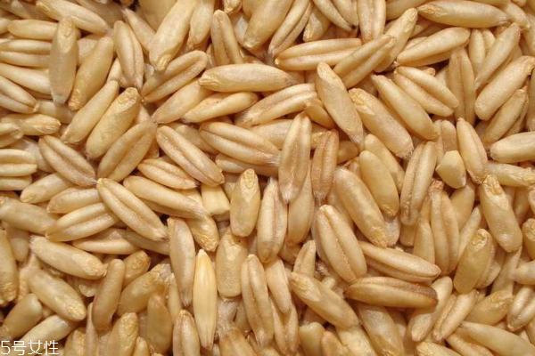 燕麦好还是燕麦麸皮好,大麦片和燕麦片哪个营养好