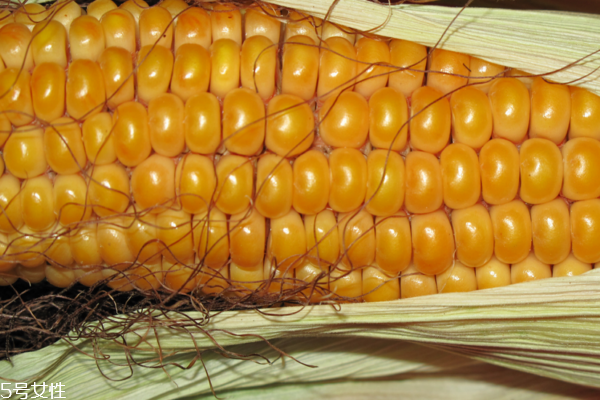 玉米为什么有不同颜色玉米粒,玉米为什么会有不一样的颜色