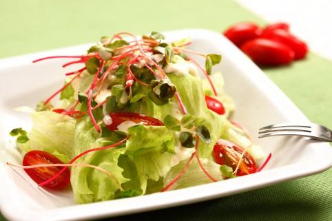 生菜沙拉用哪种生菜,做沙拉的生菜是什么菜