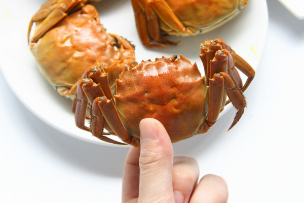 大闸蟹有哪些品种,最好的大闸蟹是什么品种