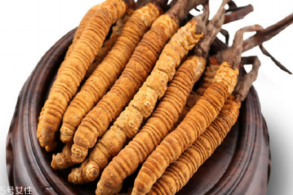 冬虫夏草怎么煲汤效果最好,冬虫夏草和什么煲汤效果最好 冬虫夏草怎么煲汤效果最好,冬虫夏草和什么煲汤效果最好