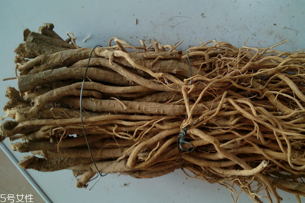 黄芪为什么会生虫子,黄芪会生虫吗 黄芪为什么会生虫子,黄芪会生虫吗