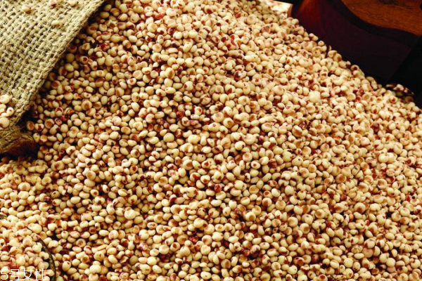 薏仁米有什么功效,炒薏米和生薏米哪个祛湿效果好 薏仁米有什么功效,炒薏米和生薏米哪个祛湿效果好