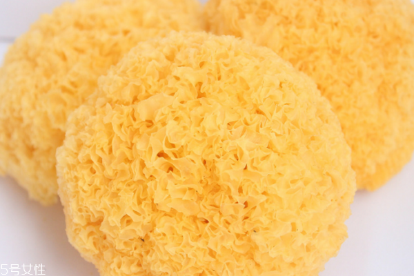 银耳为什么不能过夜吃,银耳为什么不能过夜