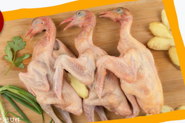 鸽子肉能下奶吗,鸽子肉可以回奶还是下奶 鸽子肉能下奶吗,鸽子肉可以回奶还是下奶