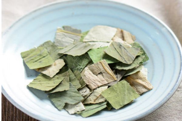 荷叶可以减肥吗?,荷叶茶可以减肥吗,对身体有没有伤害