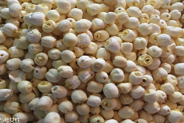 一颗莲子是果实还是种子,莲子是果实还是种子 作业帮