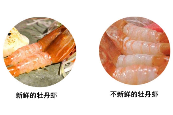 牡丹虾是生的还是熟的,如何判断虾是否新鲜