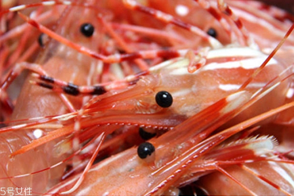 牡丹虾是哪里产的,牡丹虾产地 牡丹虾是哪里产的,牡丹虾产地