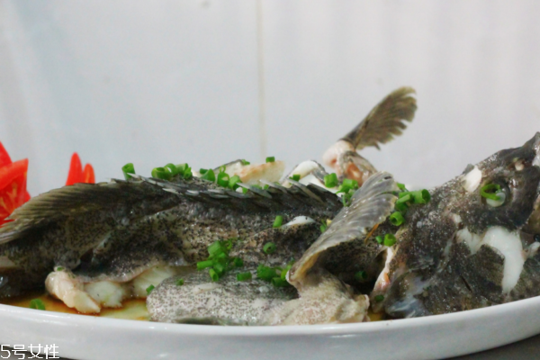 2021淡水石斑鱼多少钱一斤,淡水石斑鱼怎么养 2021淡水石斑鱼多少钱一斤,淡水石斑鱼怎么养