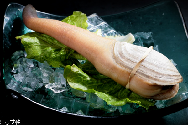 象拔蚌什么味道,象拔蚌口感怎么样