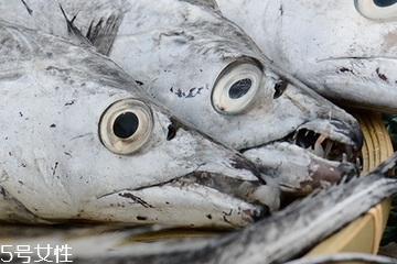 带鱼头可以吃吗怎么做好吃,带鱼头可以吃吗