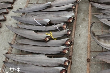 鱼翅是什么味道,鱼翅吃起来是什么味道