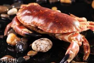 面包蟹有蟹黄吗,面包蟹公蟹也有蟹黄吗