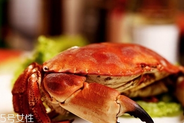 面包蟹怎么挑选有黄的,面包蟹怎么挑选
