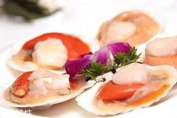 扇贝什么时候最肥美,扇贝什么时候最肥