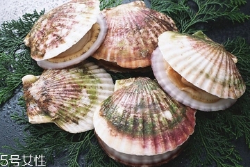 烧烤扇贝的做法大全,扇贝怎样做好吃