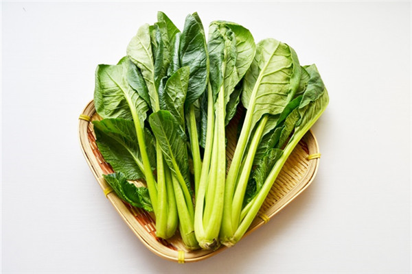 小松菜是哪一种,松菜是什么菜图片