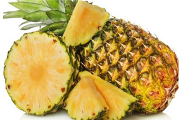 菠萝怎么种植方法水养可以吗,菠萝能种吗