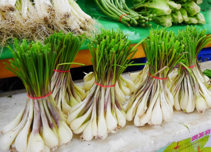 薤是什么菜,韭薤是什么东西