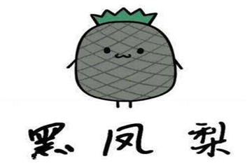 凤梨是什么水果图片,凤梨是什么水果?