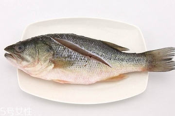 鲈鱼可以做汤吗,鲈鱼可以做鱼汤吗