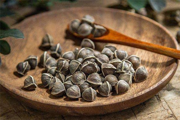 辣木籽孕妇可以吃吗,辣木籽可以常吃吗 辣木籽孕妇可以吃吗,辣木籽可以常吃吗