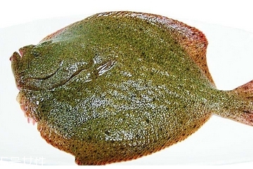 多宝鱼有鱼鳞吗需不需要刮鳞,多宝鱼有鱼鳞吗?