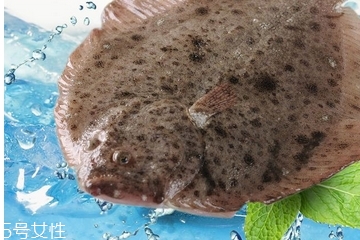 多宝鱼孕妇可以吃吗?,多宝鱼孕妇可以吃吗早期 多宝鱼孕妇可以吃吗?,多宝鱼孕妇可以吃吗早期