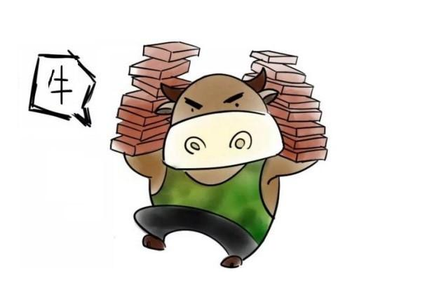 属牛人为何不怕本命年(属牛人本命年需要注意什么) 属牛人为何不怕本命年(属牛人本命年需要注意什么)